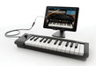 microKEY 25 25-Key Ultra-Compact MIDI Keyboard/USB Controller, Korg Midi Interface Korg, Midi Interface, new arrival halleonard