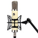 WA-251 Tube Condenser Microphone Faithful Recreation of a Legend, Warm Audio - Soundporium Music Store