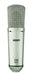 WA-87 R2 FET Condenser Microphone – Nickel, Warm Audio - Soundporium Music Store