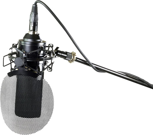 770X Multi-Pattern Vocal Condenser Microphone, MXL Mics - Soundporium Music Store