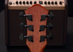 Forte Port X Partial Eclipse Acoustic Guitar, Michael Kelly Guitars - Soundporium Music Store